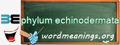 WordMeaning blackboard for phylum echinodermata